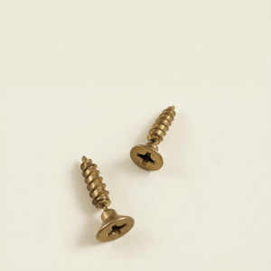 Collections gold screw stud earrings